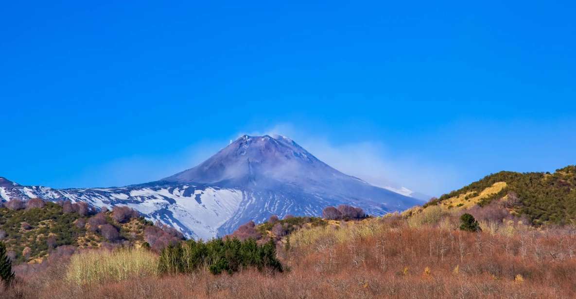 From Catania/Taormina: Mount Etna Private Wine Tasting Tour - Just The Basics