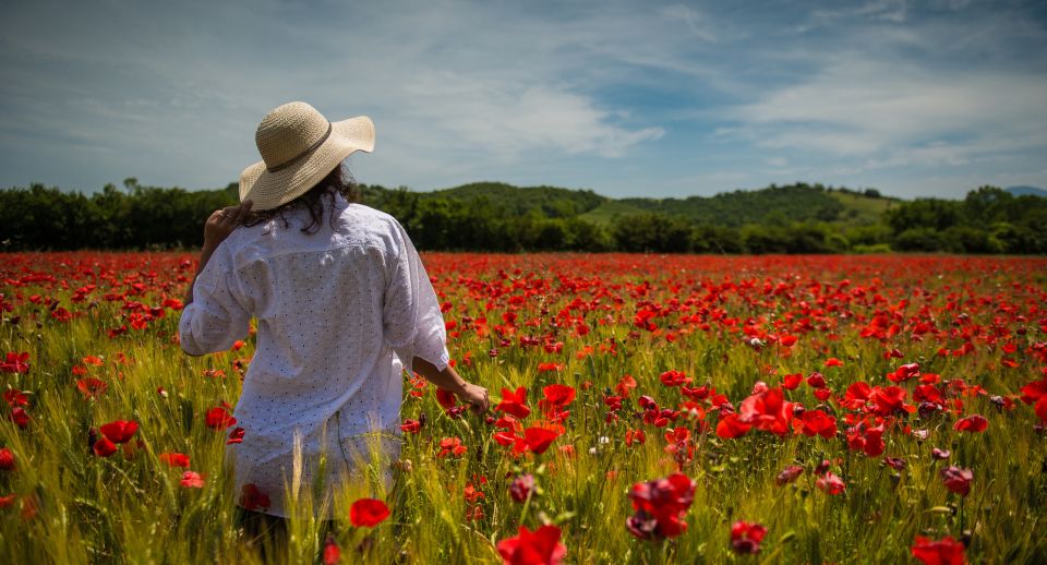 From Florence: Chianti Wine and Tuscan Countryside Tour - Just The Basics