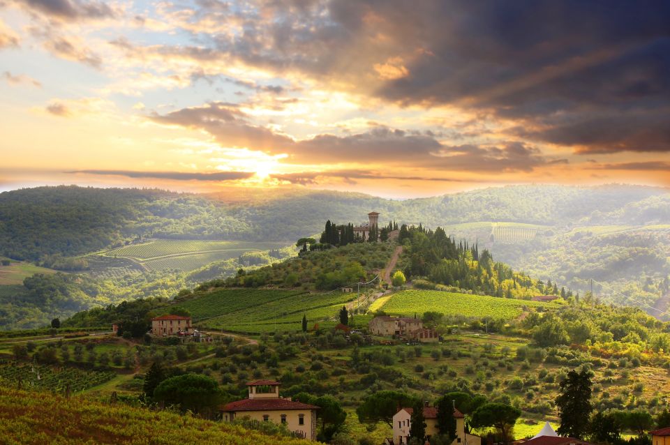 From Florence: Private Wine Tour With Dinner on an Estate - Just The Basics