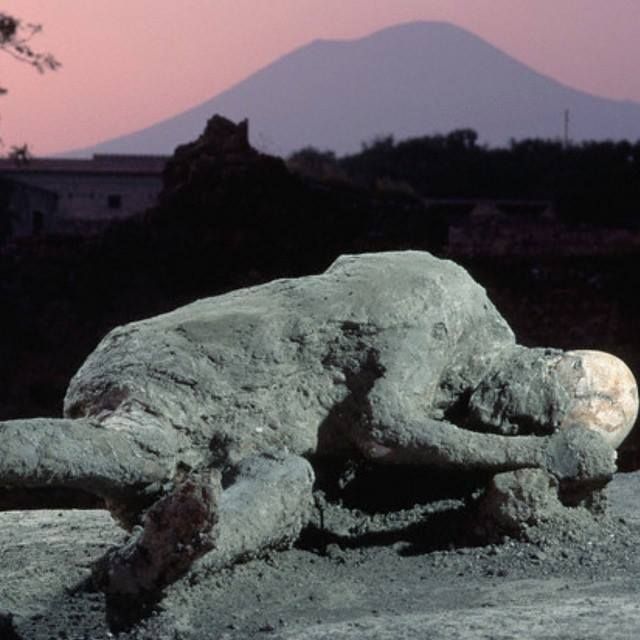 From Naples Cruise Terminal: Half-Day Pompeii Tour - Just The Basics