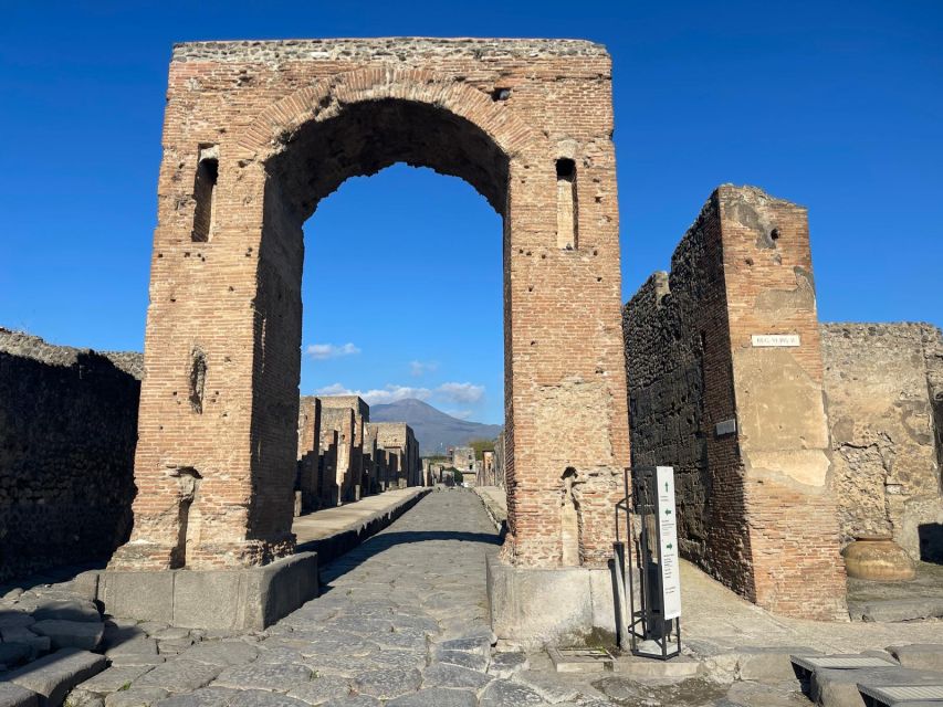 From Rome: Full Day Pompeii and Naples Tour - Just The Basics