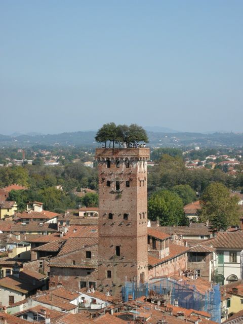 Half-Day Tour to Lucca From Florence - Tour Details