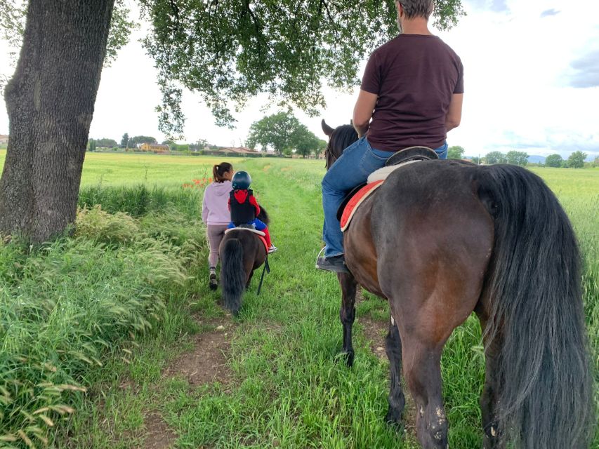 Horse Riding Through the Valleys + Food Tasting - Just The Basics