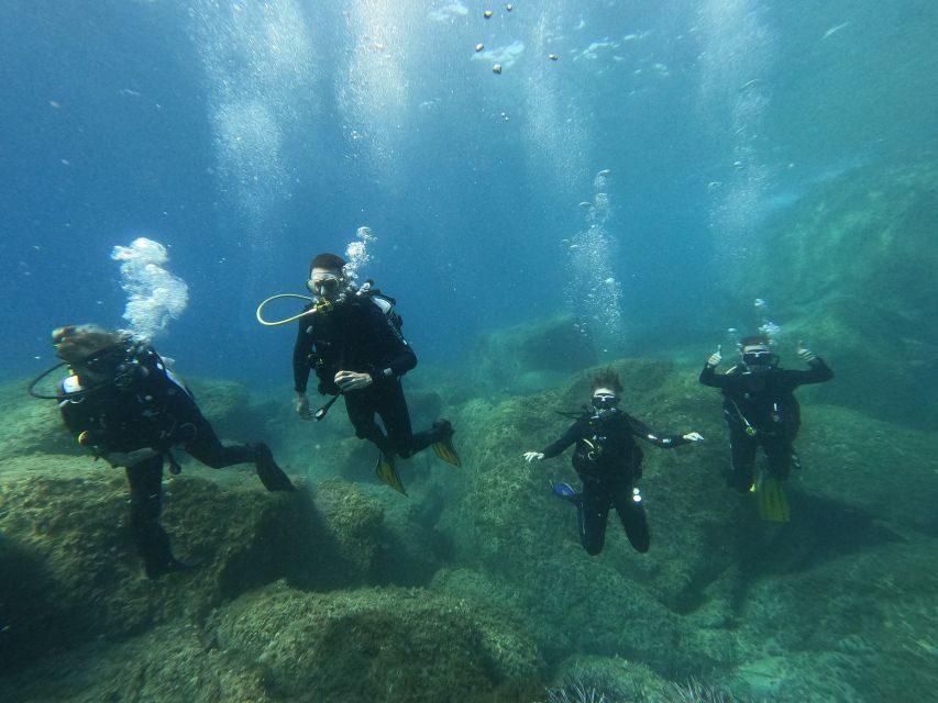 Open Water Diver 1st Level Course in Villasimius - Just The Basics