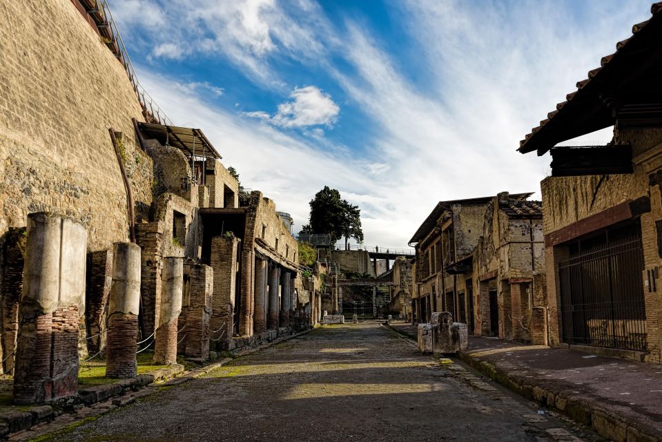 Pompeii and Herculaneum Tour - Just The Basics