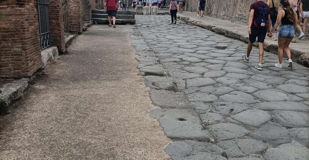 Pompeii Herculaneum and Oplontis With the Guide From Naples - Just The Basics