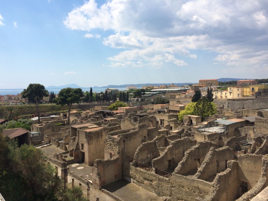 Pompeii & Herculaneum Private Skip-The-Line Tour With Ticket - Just The Basics