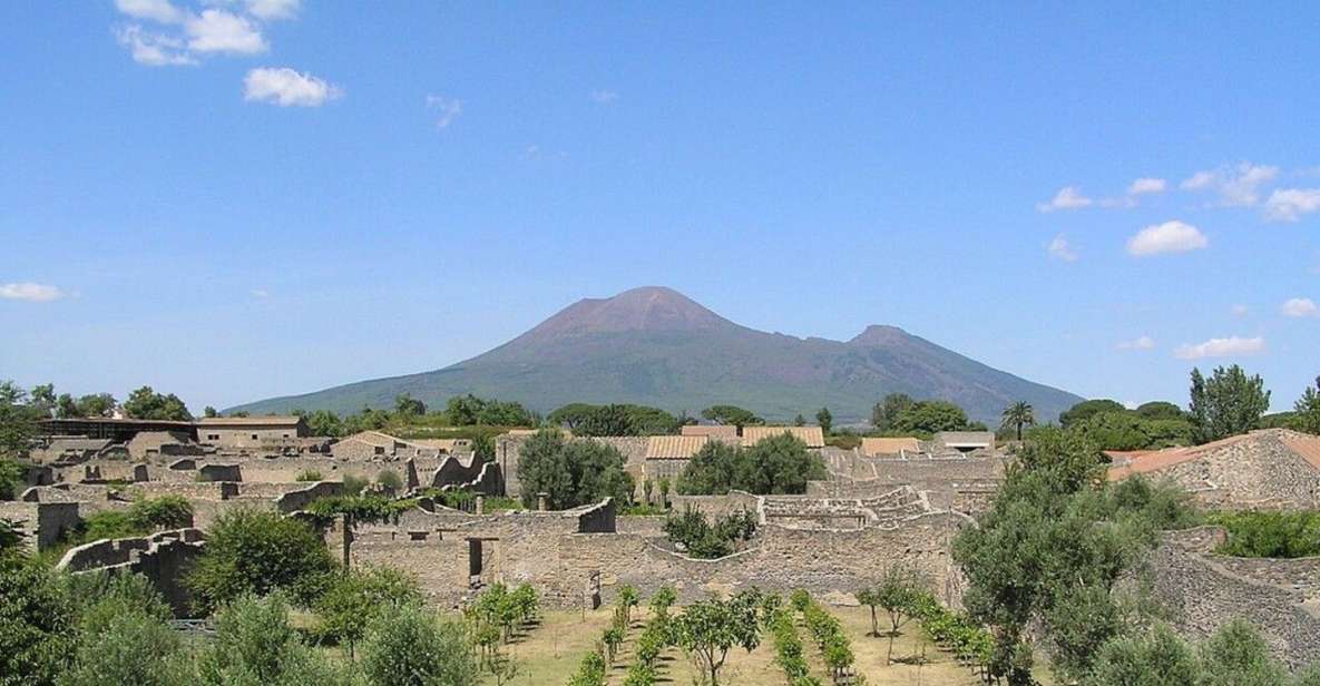 Pompeii With Wine Tasting Private Tour - Just The Basics