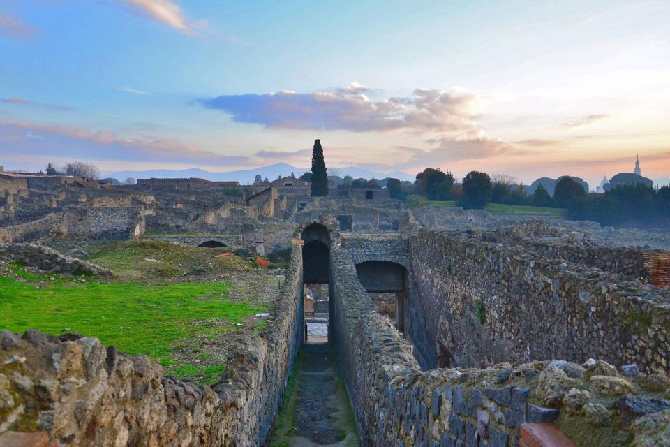 Private Pompeii Tour and Wine Tasting - Just The Basics