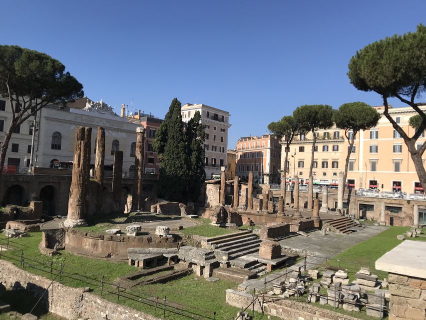 Rome: 3-Hour Private Dark History Driving Tour - Just The Basics