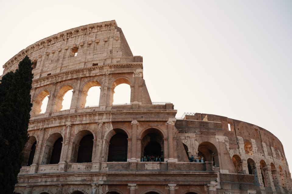 Rome: Private Colosseum, Vatican, Trevi and Forum Tour - Just The Basics