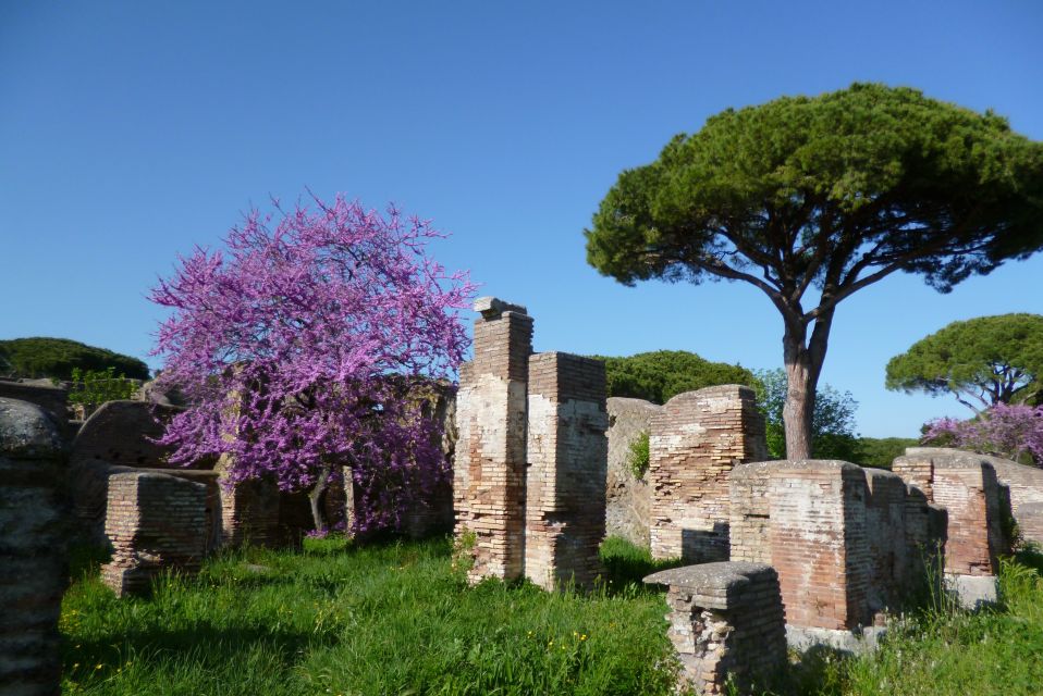 Rome: Private Ostia Antica Tour - Just The Basics