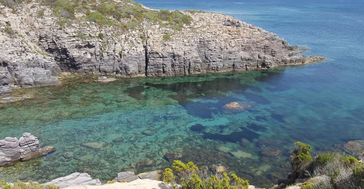 Sardinia: San Pietro Island and Carloforte Tour - Just The Basics