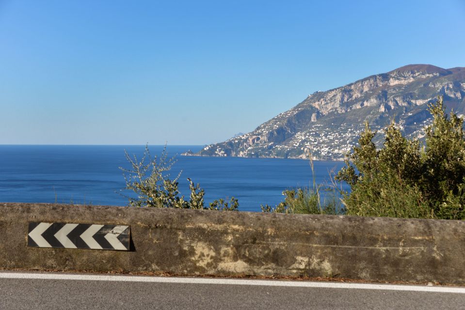 Sorrento: Transfer to Naples With Guided Tour of Pompeii - Just The Basics