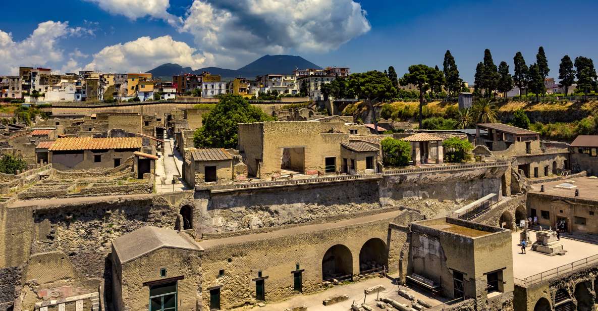 Sorrento: Transfer to Naples With Herculaneum Guided Tour - Just The Basics