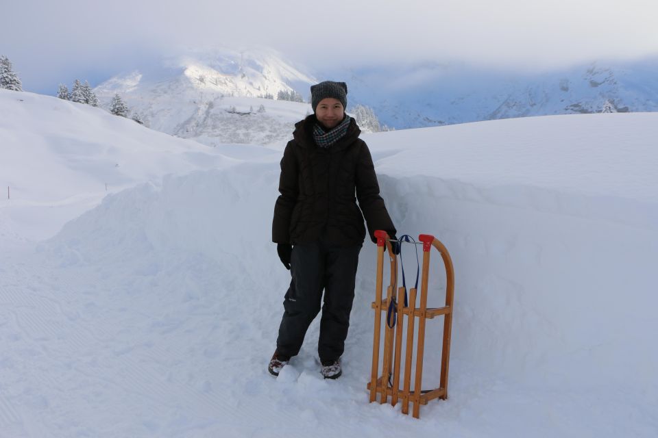 Switzerland: Private Sledging Day Tour - Just The Basics