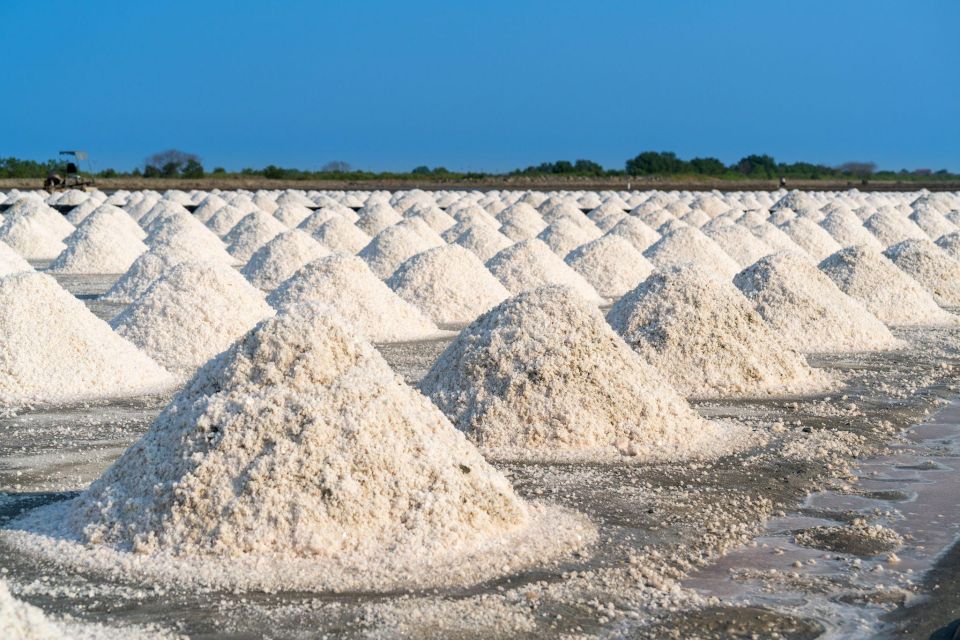 The Salt Pans of Marsala - Visit and Sunset in the Salt Pan - Just The Basics