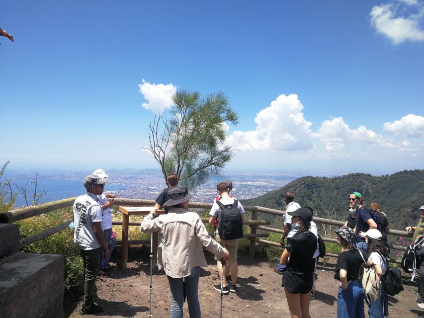 Vesuvio, Cantina Del Vesuvio Tour - Just The Basics