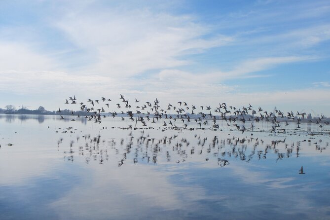 2 Hour Night Kayak Tour in Venice, Premium Experience With Sunset