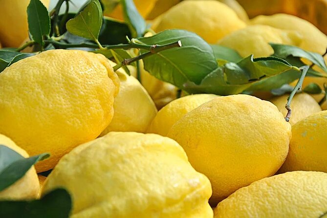 Amalfi Coast – Maiori: Path of Lemons, Tour With Tasting