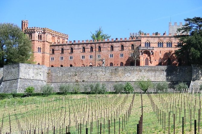 Chianti Classico E-Bike Tour