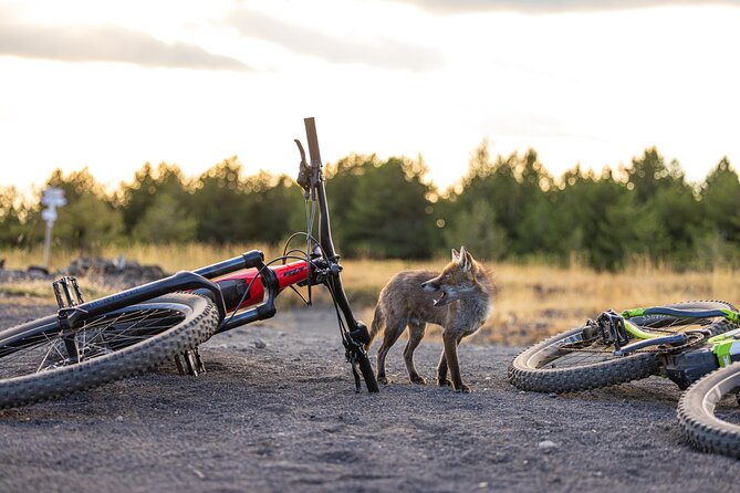 Etna E-bike Tour – All Around Mt. Etna