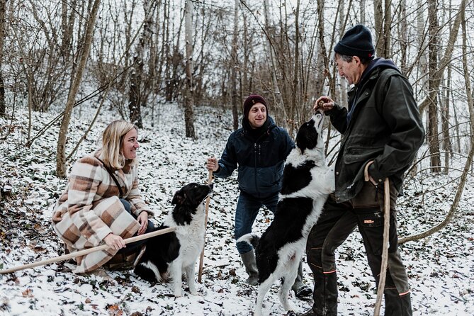 Truffle Hunting and Barolo Tasting Tour in the Alba Area