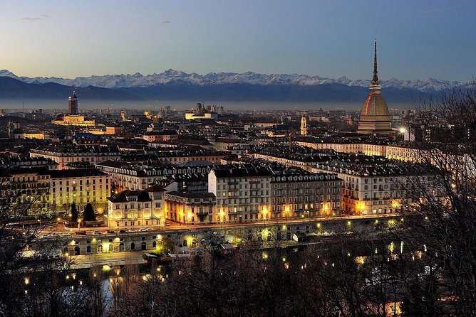 Turin Airport Private Arrival Transfer - Service Details