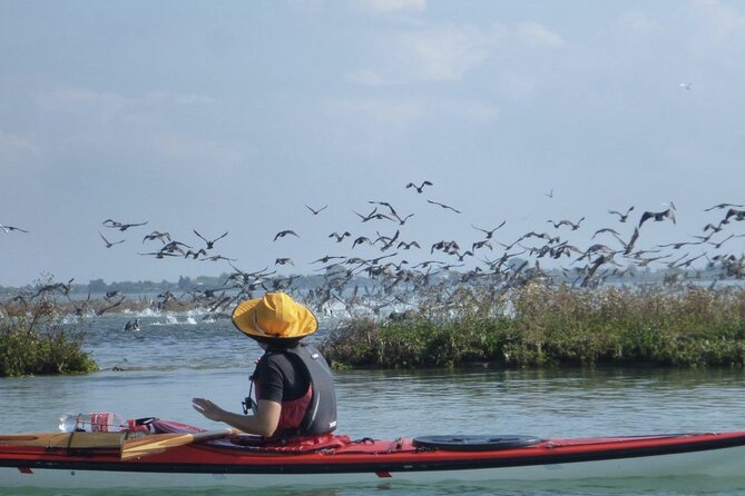 2 Hour Night Kayak Tour in Venice, Premium Experience With Sunset - Inclusions