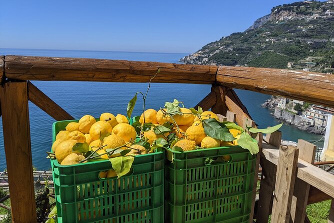 Amalfi Coast - Maiori: Path of Lemons, Tour With Tasting - Meeting Point Information