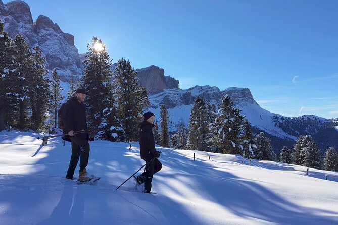 Bolzano Dolomites: Winter Hiking & Sledding Experience - Booking & Cancellation