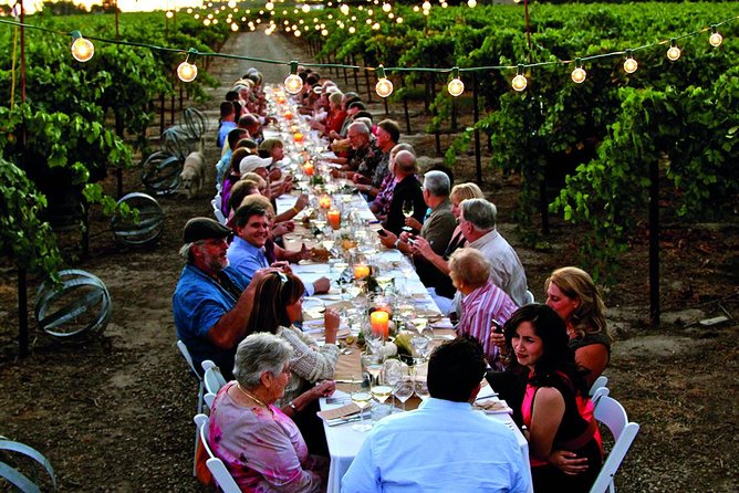 Chianti Vineyards: Small-Group Tour With Wine Tasting & Dinner - Whats Included