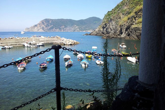 Cinque Terre Private Tour by Minivan and Ferry-Boat Shore Excursion From Livorno - Meeting and Pickup Details