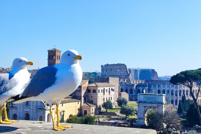 Colosseum Semi Private Tour Full Experience - Meeting Point Details