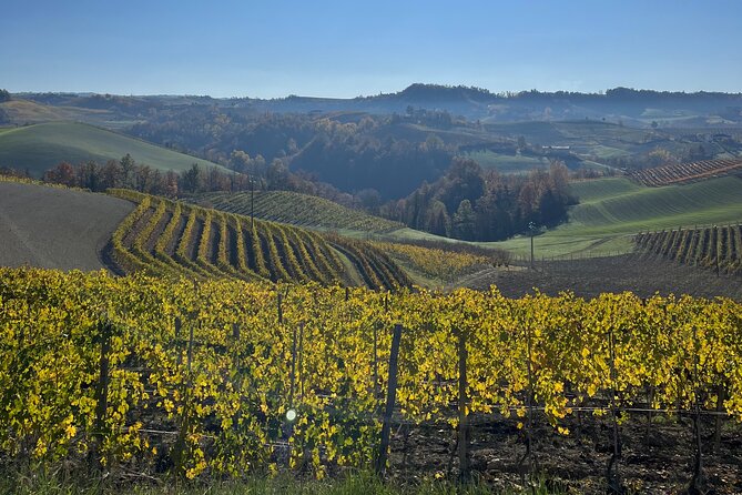 Discover Brunello Wines With Diwine Experience - Tour Start Time and Inclusions