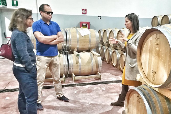 Discover the Best Cellars of Salento - What to Expect