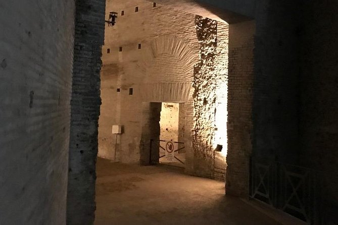 Domus Aurea Skip the Line Ticket Guided Tour - Virtual Reality Experience