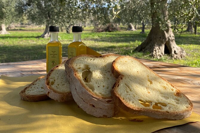 Food and Wine Tour Between the Patriarchs Olives and the Oil Temples - End Point Information