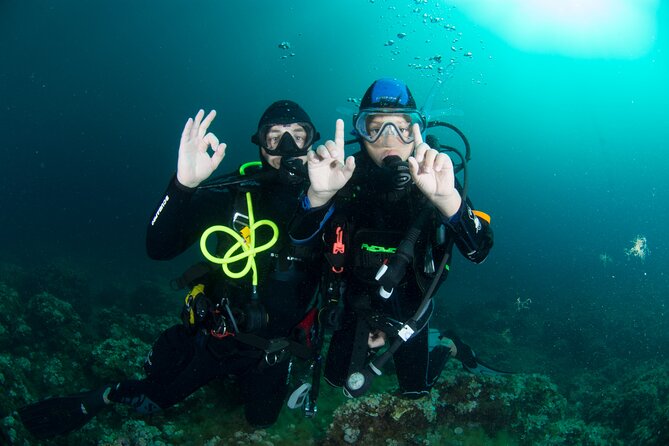 Guided Diving for Beginners Without Certification From Sorrento - Meeting Point Information