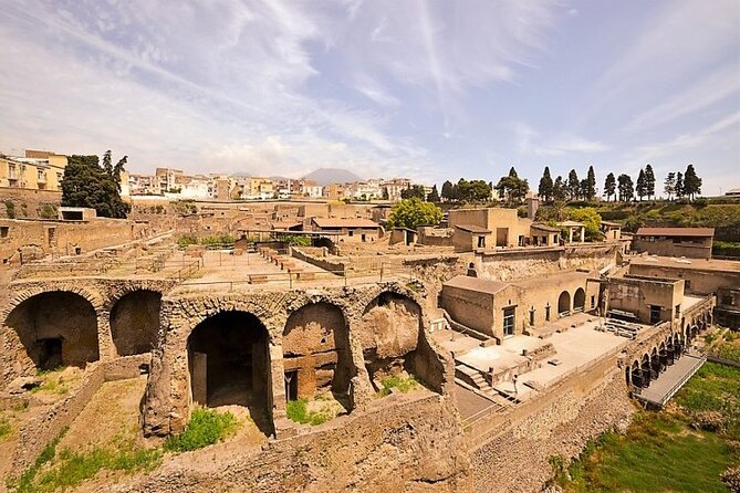 Half-Day Exclusive Private Tour of Pompeii and Herculaneum - Inclusions and Exclusions