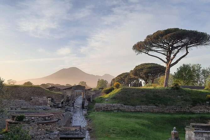 Late Afternoon Best Time to Visit Pompei on a Private Tour - Logistics for Your Pompeii Visit