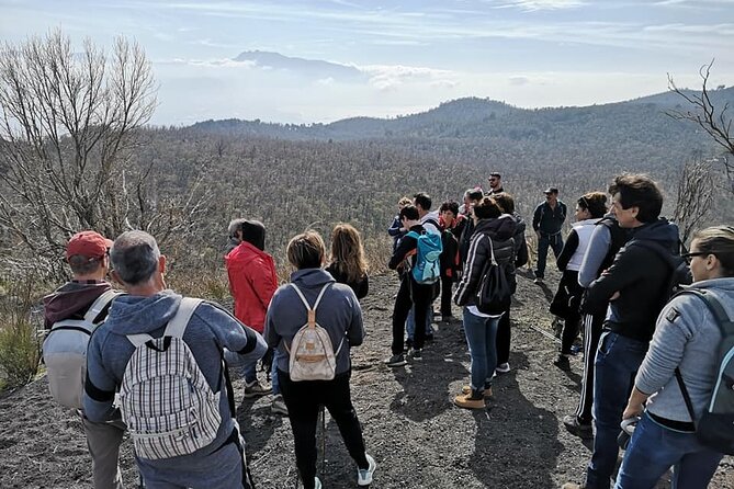 Mount Vesuvius Tour by Bus and Ticket Included From Ercolano - Meeting Point Information