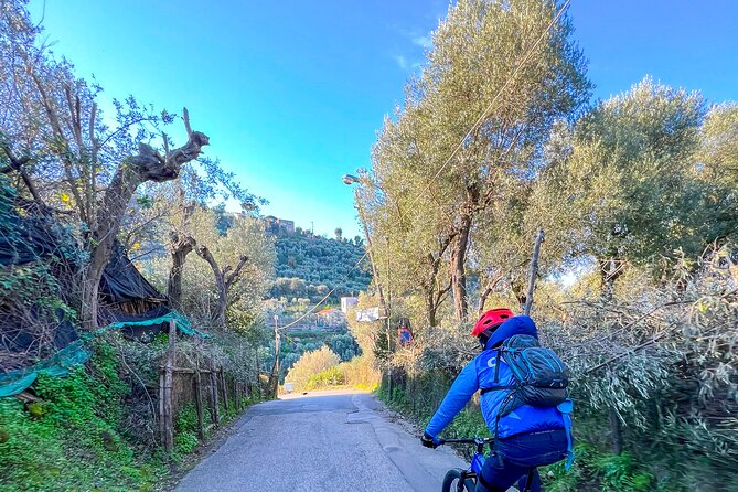 Oil and Lemon - Sorrento E-Bike Tour Experience - Cancellation Policy