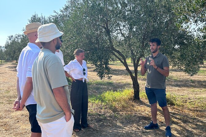 Olive Grove Tour With Wine & Olive Oil Tasting in Balestrate - Olive Grove Insights