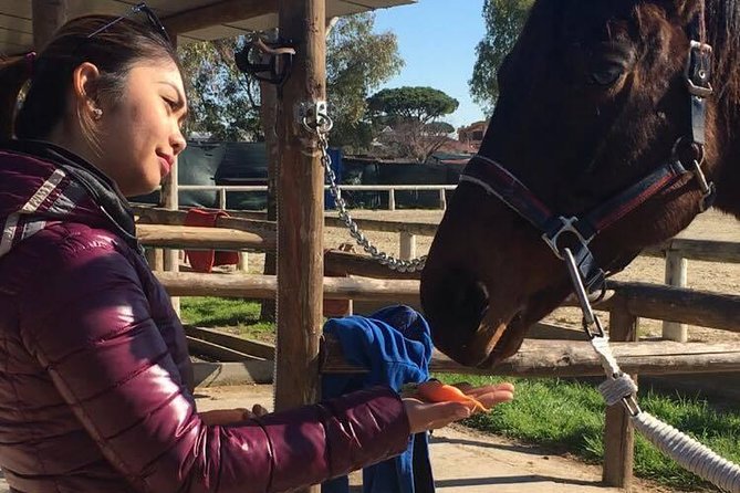 Picnic on Horseback in Rome - Logistics