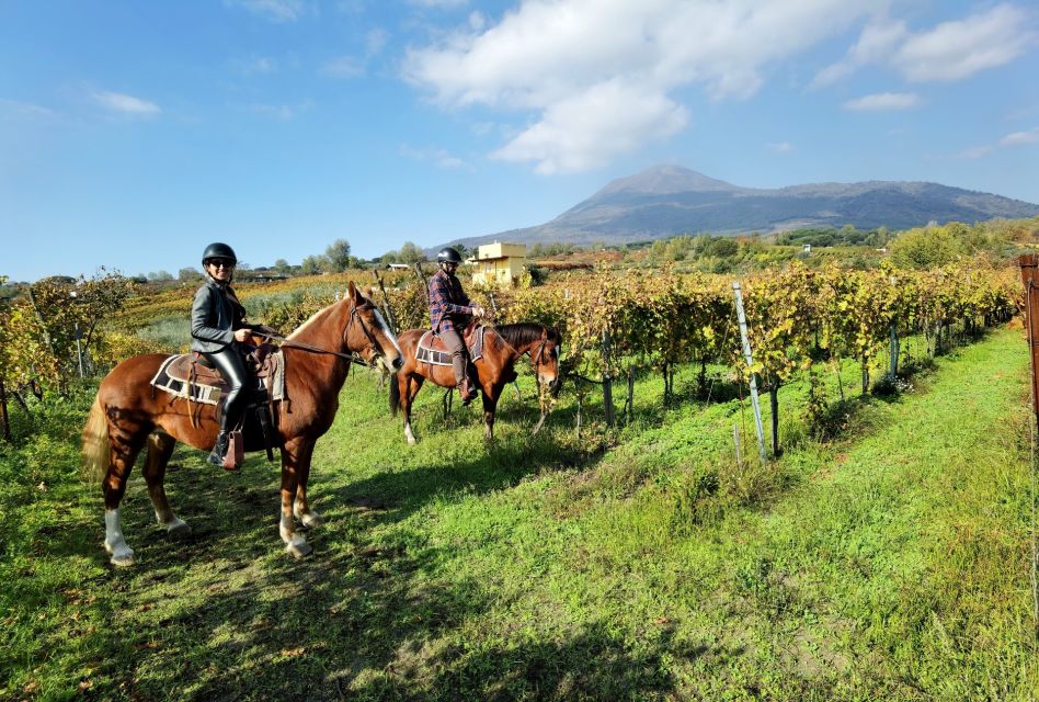 Pompeii: Ruins Tour and Mount Vesuvius Horseback Ride - Itinerary