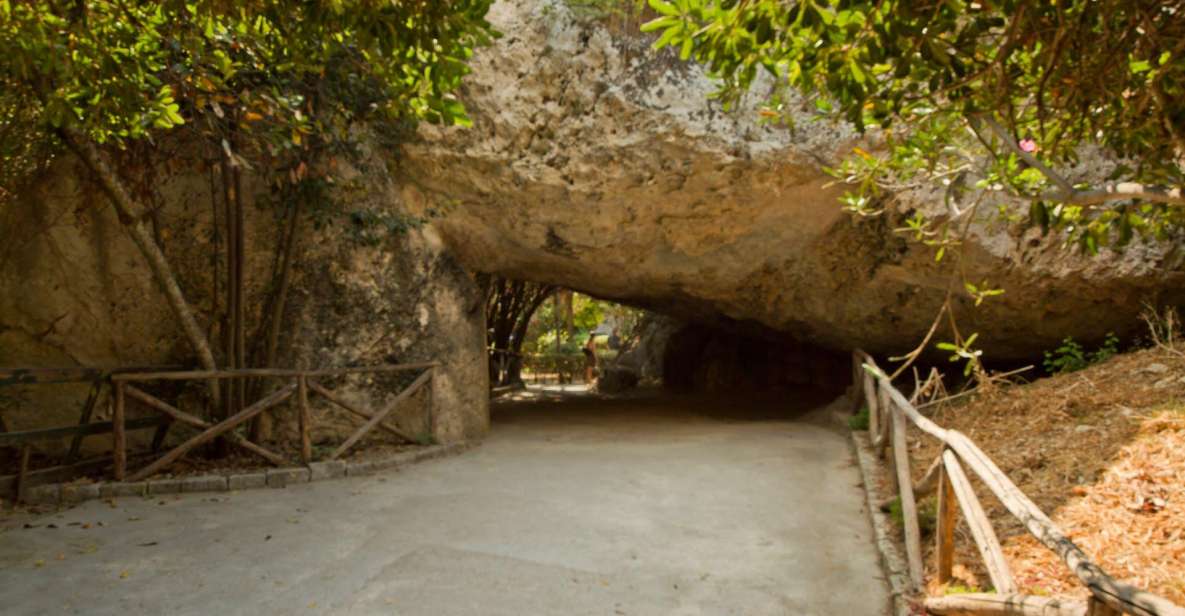 Private Tour of Ortygia and the Neapolis Archaeological Park - Language Options and Group Experience