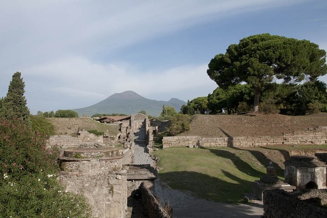 Private Tour Pompeii Vesuvius and Winery From Sorrento - Itinerary Highlights