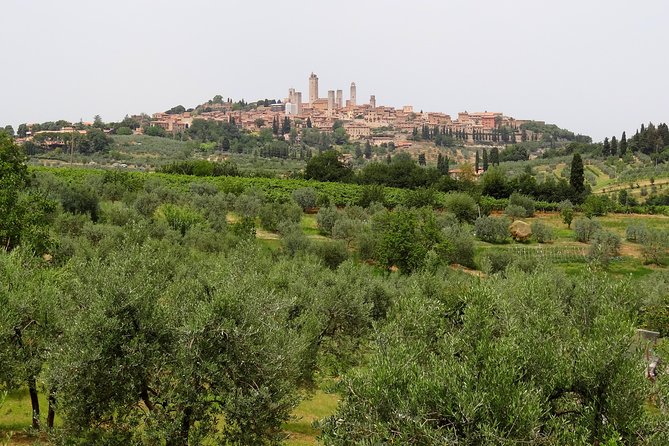 Private Tour to Siena and San Gimignano With Wine Tasting & Lunch - Itinerary Details