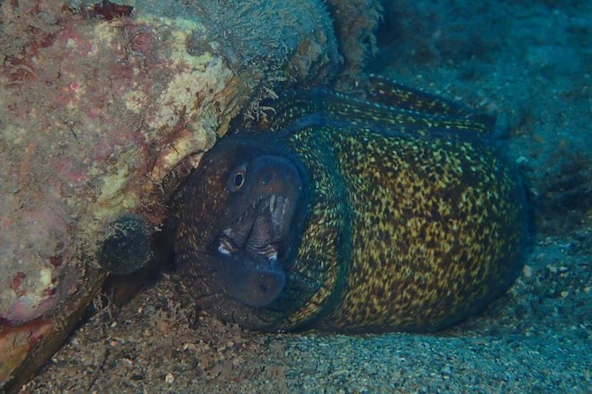 Scuba Diving Experience in Taormina - Meeting and Pickup Details